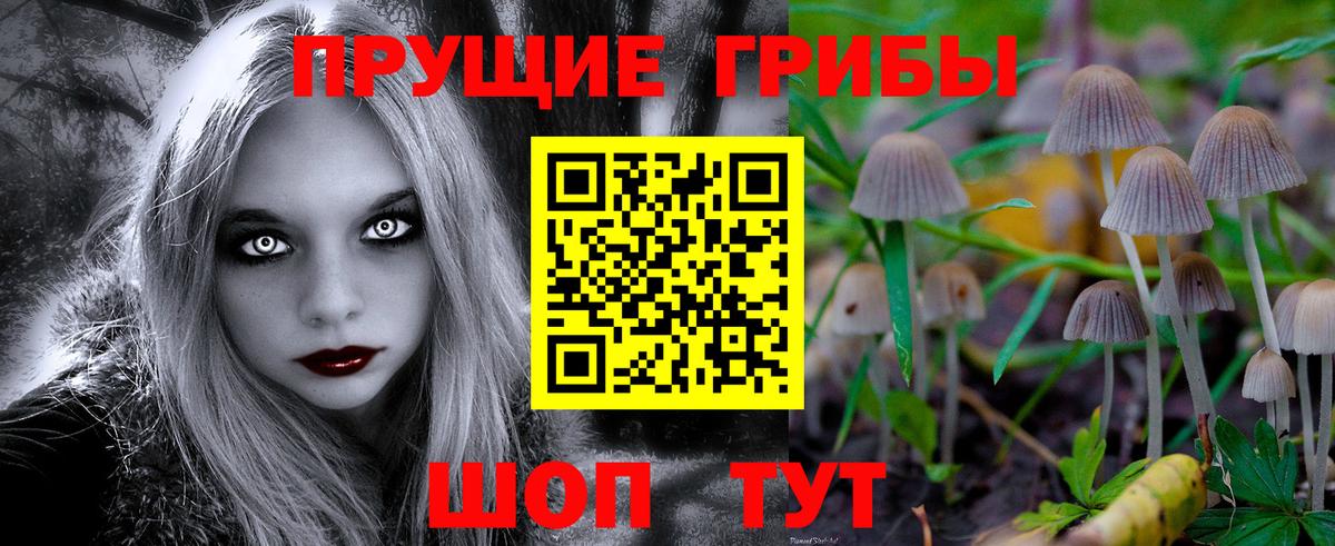 Галлюциногенные грибы Psilocybine cubensis  Псилоцибиновые грибы Cubensis  Вход с VPN  Реутов 