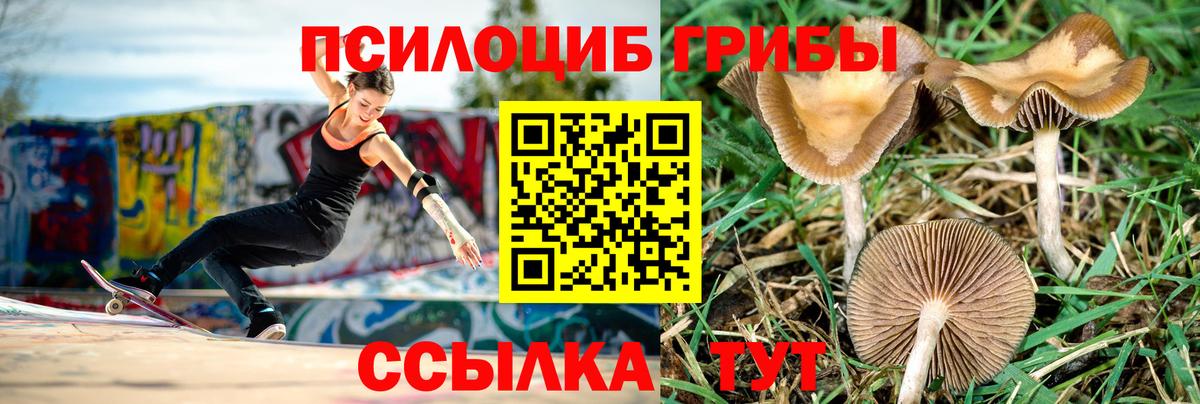 Галлюциногенные грибы MAGIC MUSHROOMS  Псилоцибиновые грибы ЛСД  Реутов 