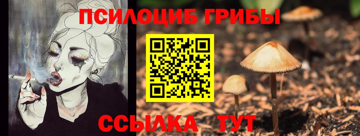 Псилоцибиновые грибы мухоморы Реутов